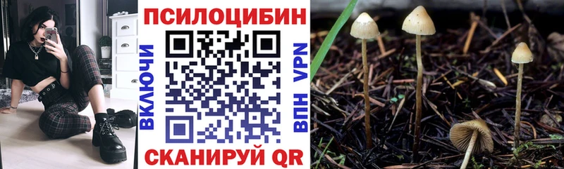 Галлюциногенные грибы Psilocybe  Купить закладки  Белая Калитва 